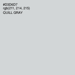 #D3D6D7 - Quill Gray Color Image